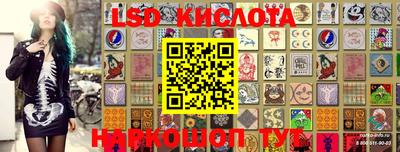 ALPHA PVP Кандалакша