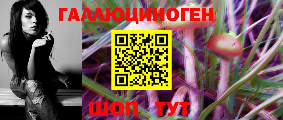 Краснознаменск  Галлюциногенные грибы MAGIC MUSHROOMS  Вход с VPN 